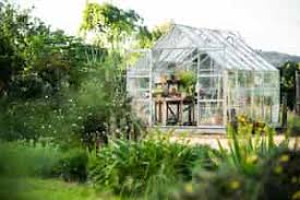 Tiny-Level Greenhouses with Big-Level Affect: Urban Growing plants Emerging trend post thumbnail image
