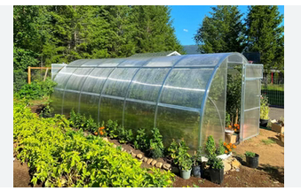 Greenhouse Revolution: Shaping the Future of Food Production post thumbnail image