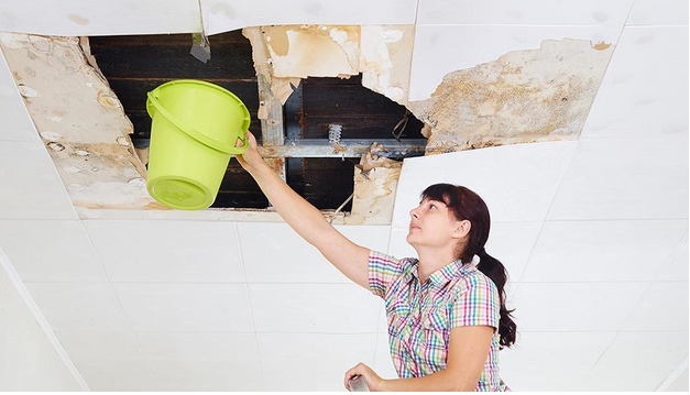 Mold Prevention in Water Damage Restoration: A Vital Step post thumbnail image