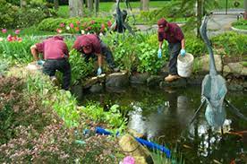 Beyond Clean Waters: Professional Pond Maintenance Excellence post thumbnail image