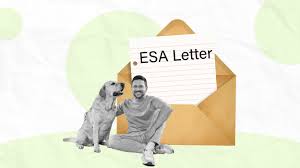 Streamlined Support: The Benefits of Getting Your ESA Letter Online post thumbnail image